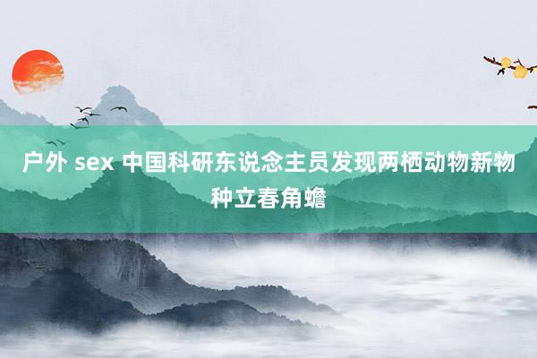 户外 sex 中国科研东说念主员发现两栖动物新物种立春角蟾