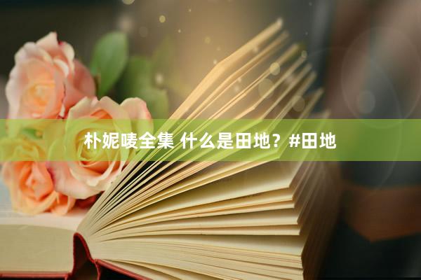 朴妮唛全集 什么是田地？#田地