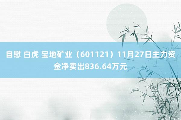 自慰 白虎 宝地矿业（601121）11月27日主力资金净卖出836.64万元