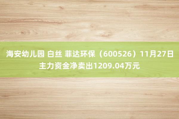 海安幼儿园 白丝 菲达环保（600526）11月27日主力资金净卖出1209.04万元