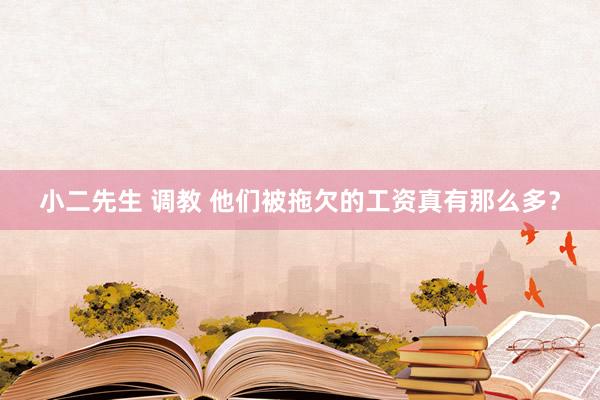 小二先生 调教 他们被拖欠的工资真有那么多？