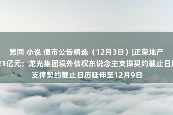 男同 小说 债市公告精选（12月3日）|正荣地产波及引申主见逾21亿元；龙光集团境外债权东说念主支撑契约截止日历延伸至12月9日