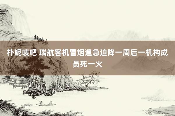 朴妮唛吧 瑞航客机冒烟遑急迫降一周后一机构成员死一火