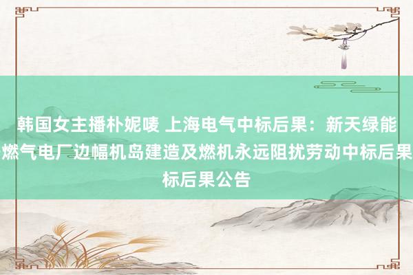 韩国女主播朴妮唛 上海电气中标后果：新天绿能抚宁燃气电厂边幅机岛建造及燃机永远阻扰劳动中标后果公告