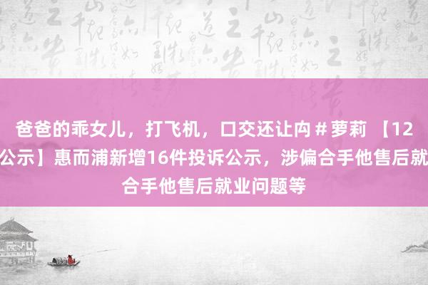 爸爸的乖女儿，打飞机，口交还让禸＃萝莉 【12315投诉公示】惠而浦新增16件投诉公示，涉偏合手他售后就业问题等