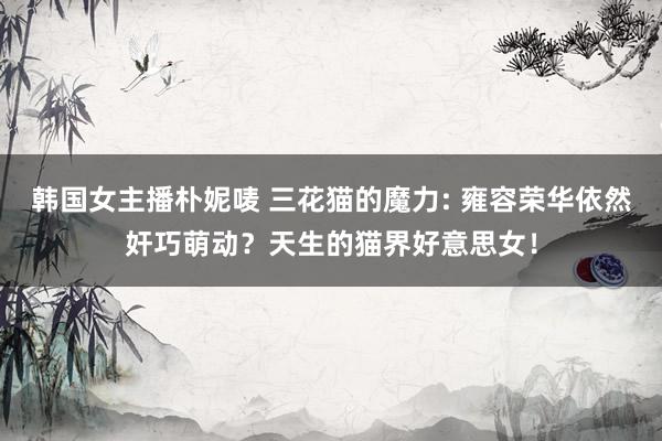 韩国女主播朴妮唛 三花猫的魔力: 雍容荣华依然奸巧萌动？天生的猫界好意思女！