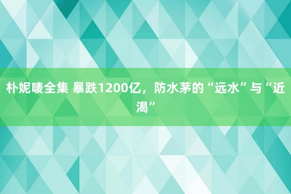 朴妮唛全集 暴跌1200亿，防水茅的“远水”与“近渴”