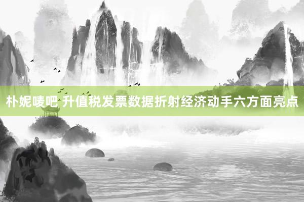 朴妮唛吧 升值税发票数据折射经济动手六方面亮点