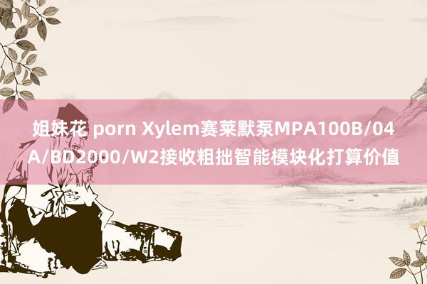姐妹花 porn Xylem赛莱默泵MPA100B/04A/BD2000/W2接收粗拙智能模块化打算价值