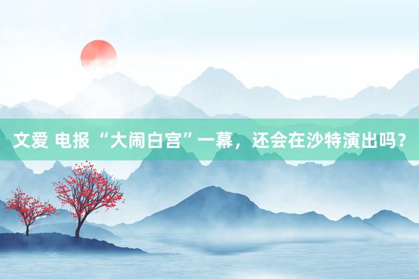 文爱 电报 “大闹白宫”一幕，还会在沙特演出吗？
