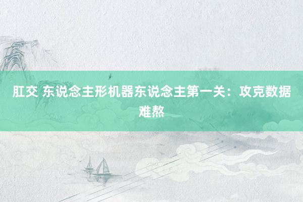 肛交 东说念主形机器东说念主第一关：攻克数据难熬