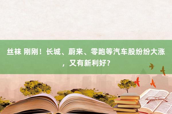 丝袜 刚刚！长城、蔚来、零跑等汽车股纷纷大涨，又有新利好？