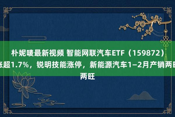 朴妮唛最新视频 智能网联汽车ETF（159872）涨超1.7%，锐明技能涨停，新能源汽车1—2月产销两旺