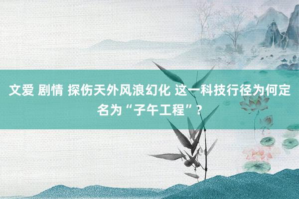 文爱 剧情 探伤天外风浪幻化 这一科技行径为何定名为“子午工程”？