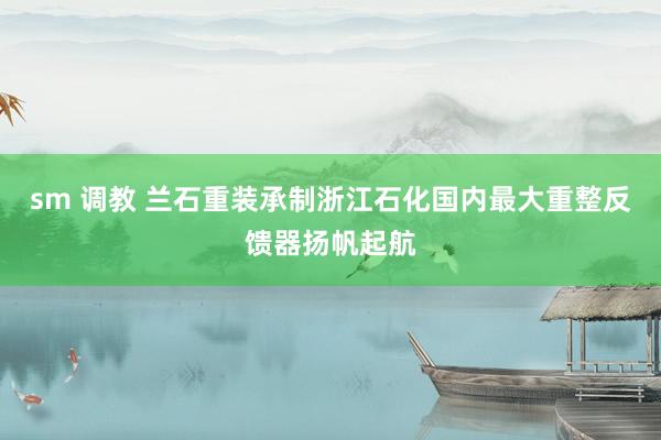 sm 调教 兰石重装承制浙江石化国内最大重整反馈器扬帆起航