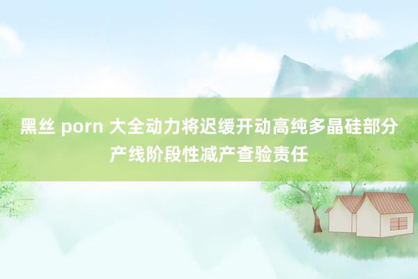 黑丝 porn 大全动力将迟缓开动高纯多晶硅部分产线阶段性减产查验责任