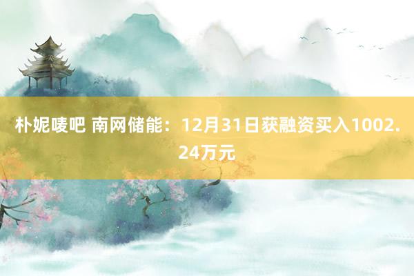 朴妮唛吧 南网储能：12月31日获融资买入1002.24万元