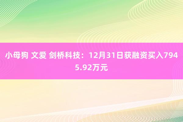 小母狗 文爱 剑桥科技：12月31日获融资买入7945.92万元