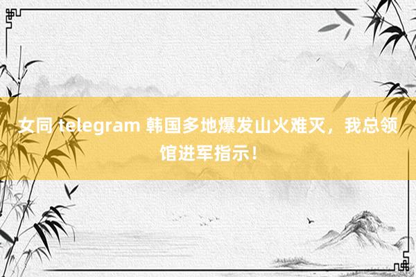 女同 telegram 韩国多地爆发山火难灭，我总领馆进军指示！