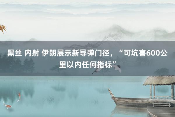 黑丝 内射 伊朗展示新导弹门径，“可坑害600公里以内任何指标”