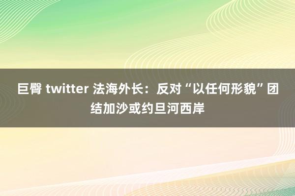 巨臀 twitter 法海外长：反对“以任何形貌”团结加沙或约旦河西岸