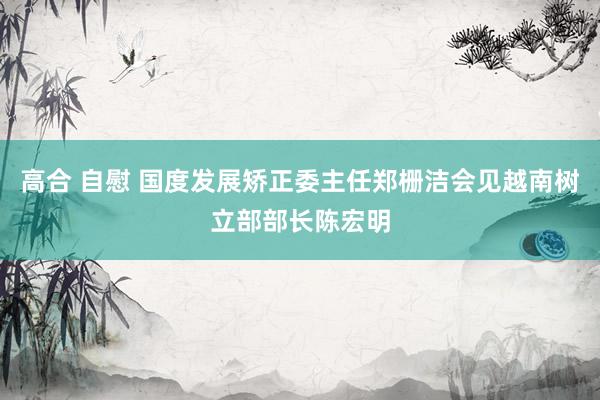 高合 自慰 国度发展矫正委主任郑栅洁会见越南树立部部长陈宏明