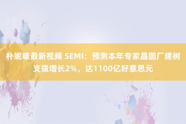 朴妮唛最新视频 SEMI：预测本年专家晶圆厂建树支拨增长2%，达1100亿好意思元