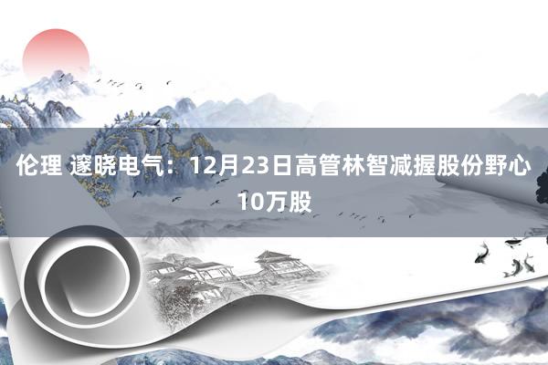 伦理 邃晓电气：12月23日高管林智减握股份野心10万股