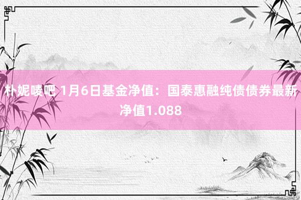 朴妮唛吧 1月6日基金净值：国泰惠融纯债债券最新净值1.088