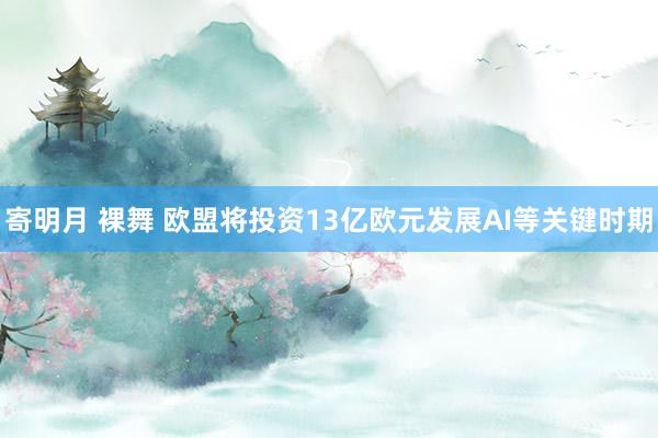 寄明月 裸舞 欧盟将投资13亿欧元发展AI等关键时期