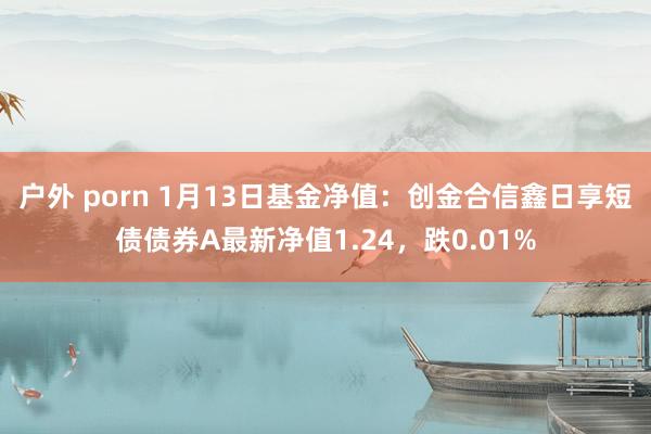 户外 porn 1月13日基金净值：创金合信鑫日享短债债券A最新净值1.24，跌0.01%