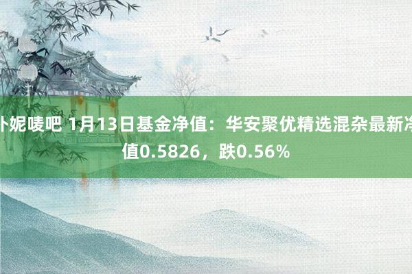 朴妮唛吧 1月13日基金净值：华安聚优精选混杂最新净值0.5826，跌0.56%