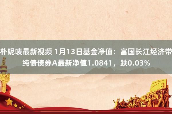朴妮唛最新视频 1月13日基金净值：富国长江经济带纯债债券A最新净值1.0841，跌0.03%