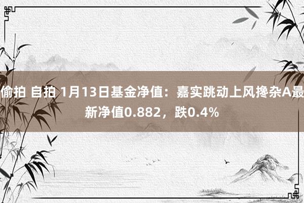 偷拍 自拍 1月13日基金净值：嘉实跳动上风搀杂A最新净值0.882，跌0.4%