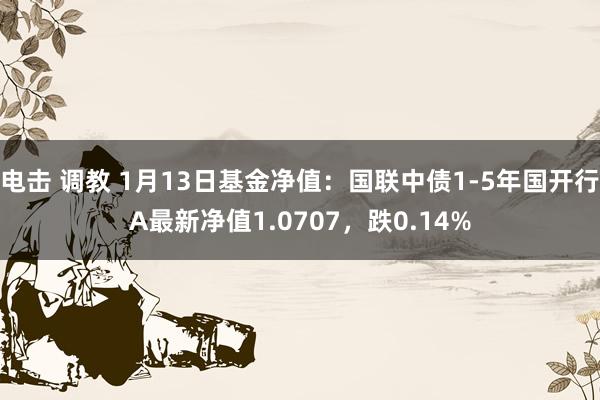电击 调教 1月13日基金净值：国联中债1-5年国开行A最新净值1.0707，跌0.14%