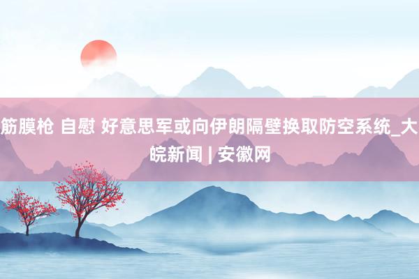 筋膜枪 自慰 好意思军或向伊朗隔壁换取防空系统_大皖新闻 | 安徽网