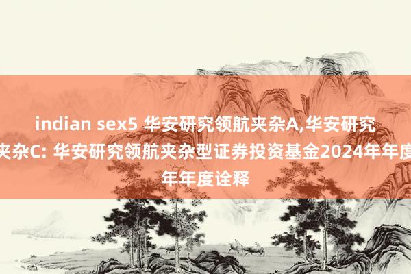 indian sex5 华安研究领航夹杂A,华安研究领航夹杂C: 华安研究领航夹杂型证券投资基金2024年年度诠释