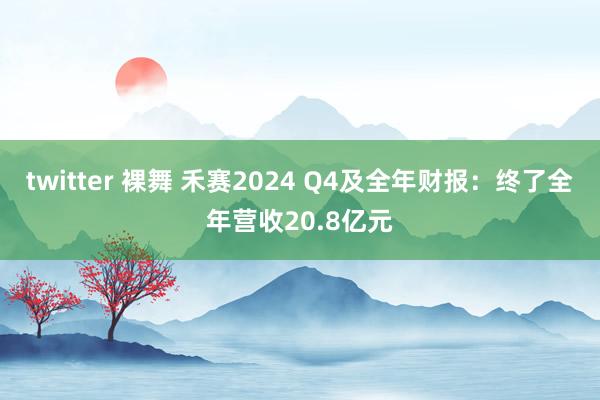 twitter 裸舞 禾赛2024 Q4及全年财报：终了全年营收20.8亿元