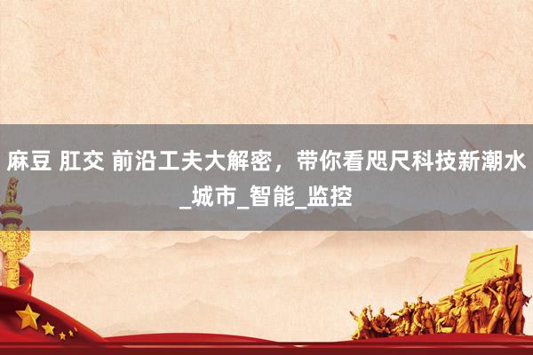 麻豆 肛交 前沿工夫大解密，带你看咫尺科技新潮水_城市_智能_监控