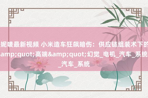 朴妮唛最新视频 小米造车狂飙暗伤：供应链组装术下的&quot;高端&quot;幻觉_电机_汽车_系统
