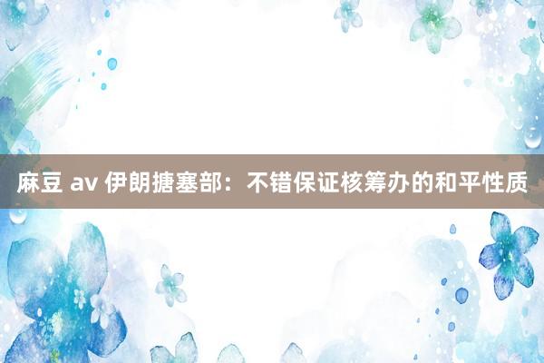 麻豆 av 伊朗搪塞部：不错保证核筹办的和平性质