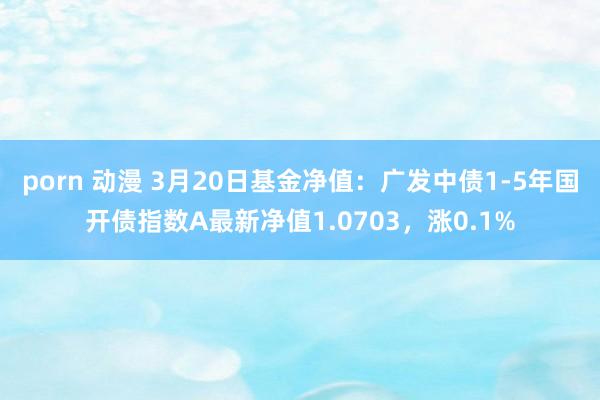 porn 动漫 3月20日基金净值：广发中债1-5年国开债指数A最新净值1.0703，涨0.1%