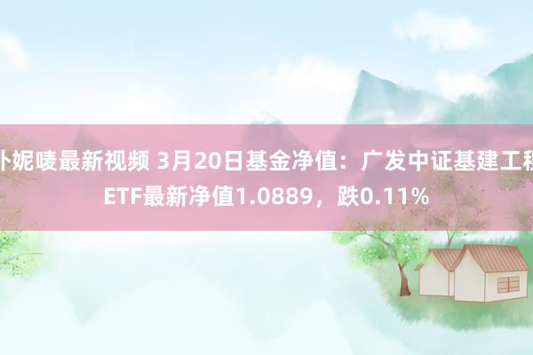 朴妮唛最新视频 3月20日基金净值：广发中证基建工程ETF最新净值1.0889，跌0.11%