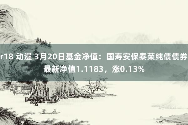 r18 动漫 3月20日基金净值：国寿安保泰荣纯债债券最新净值1.1183，涨0.13%