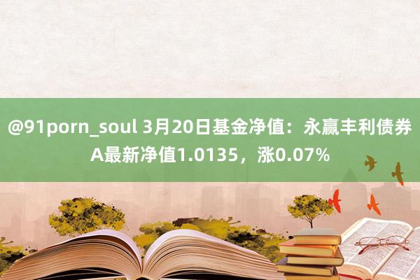 @91porn_soul 3月20日基金净值：永赢丰利债券A最新净值1.0135，涨0.07%