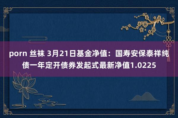 porn 丝袜 3月21日基金净值：国寿安保泰祥纯债一年定开债券发起式最新净值1.0225