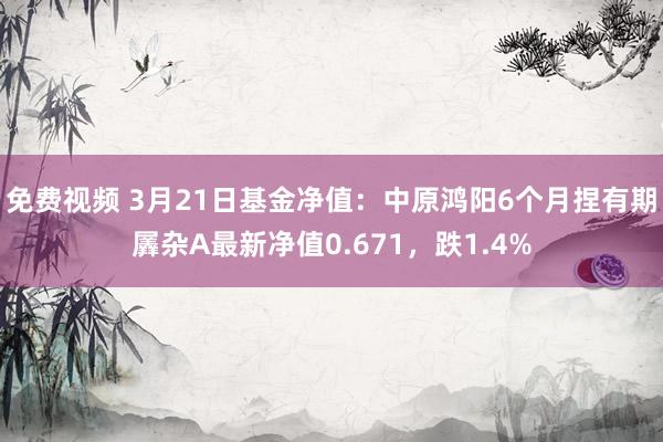 免费视频 3月21日基金净值：中原鸿阳6个月捏有期羼杂A最新净值0.671，跌1.4%