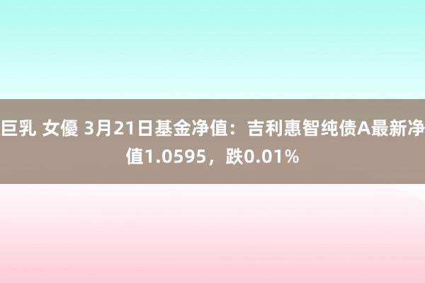 巨乳 女優 3月21日基金净值：吉利惠智纯债A最新净值1.0595，跌0.01%