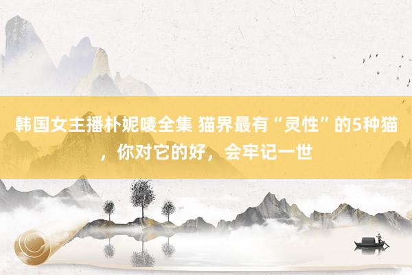韩国女主播朴妮唛全集 猫界最有“灵性”的5种猫，你对它的好，会牢记一世