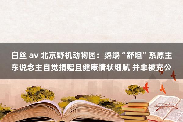 白丝 av 北京野机动物园：鹦鹉“舒坦”系原主东说念主自觉捐赠且健康情状细腻 并非被充公